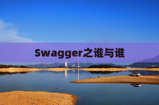 Swagger之谁与谁